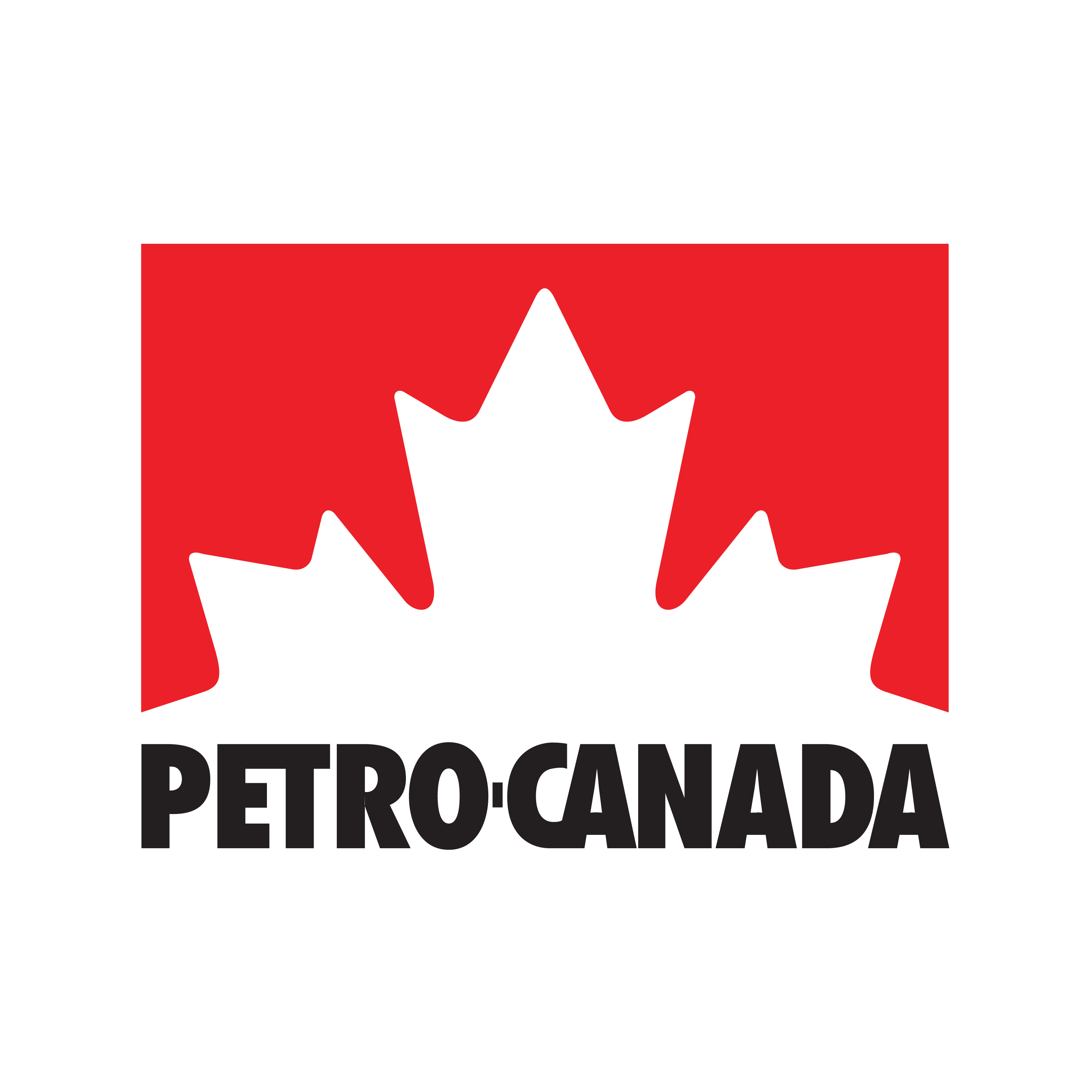 Petro Logo Web-2